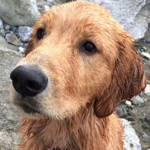 Meet your Posher, Valerie